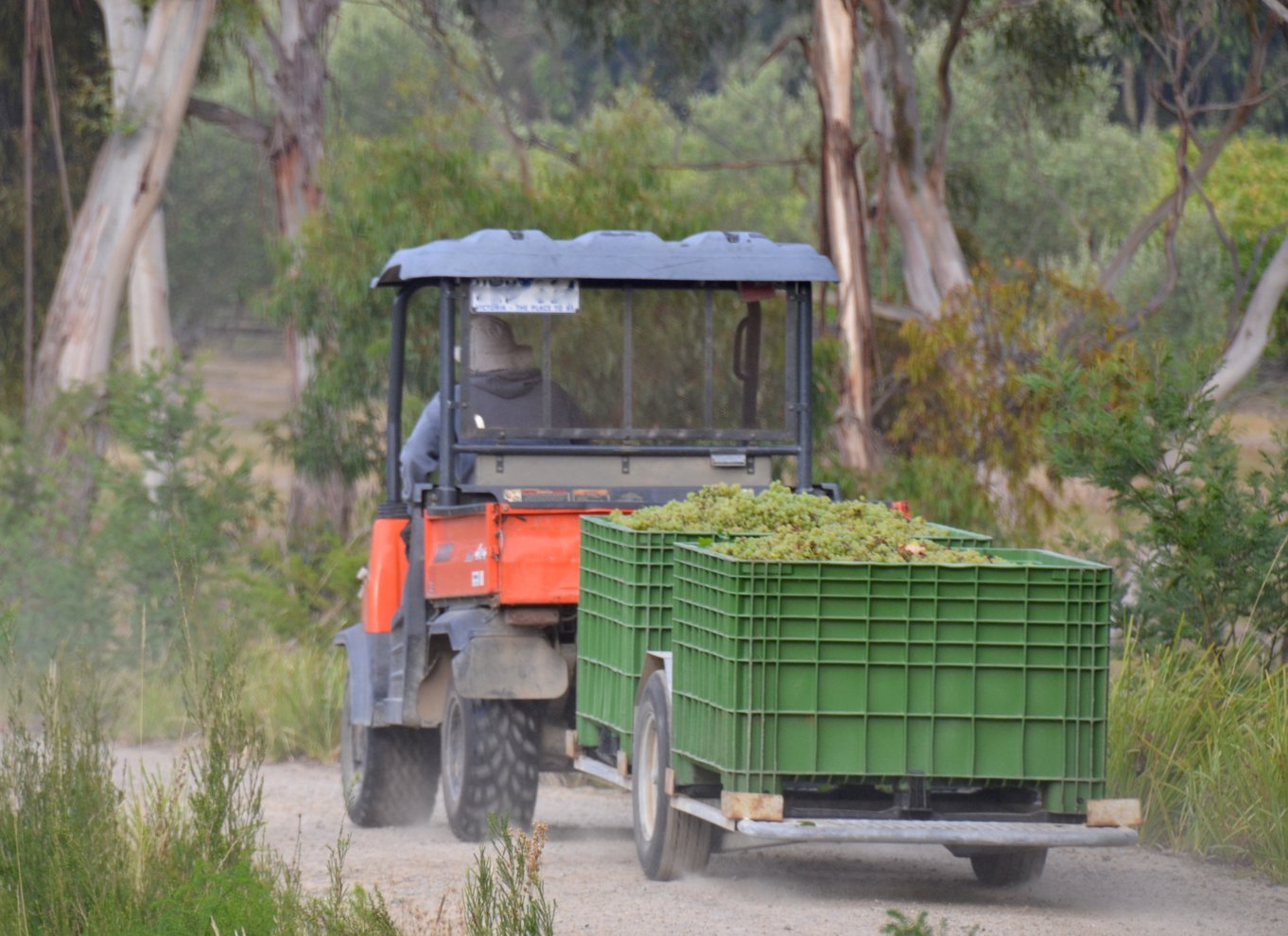 Mornington Peninsula Winery Bustur med frokost og vin