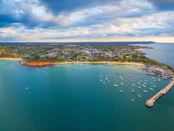 Excursão de ônibus panorâmica pela Península Mornington com teleférico e almoço