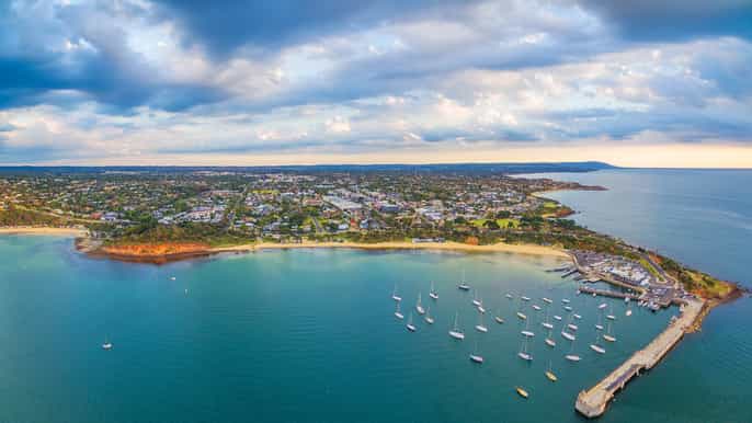 recorrido panorámico en autobús por la península de mornington con telesilla y almuerzo