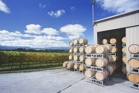 Yarra Valley: Bus Wine Tour with Lunch and a Glass of Wine