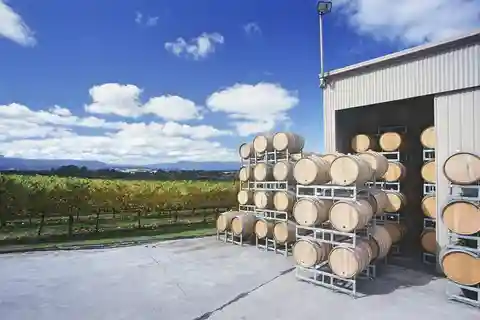 Yarra Valley: Bus Wine Tour with Lunch and a Glass of Wine