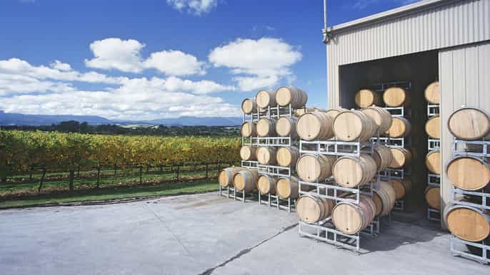 yarra valley recorrido en autobús por el vino con almuerzo y una copa de vino