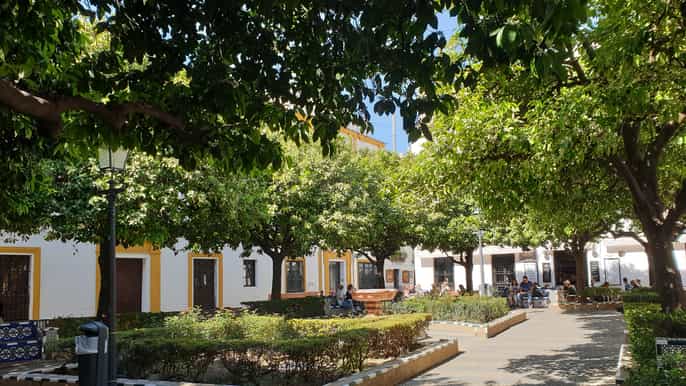 seville opera jewish history and santa cruz walking tour