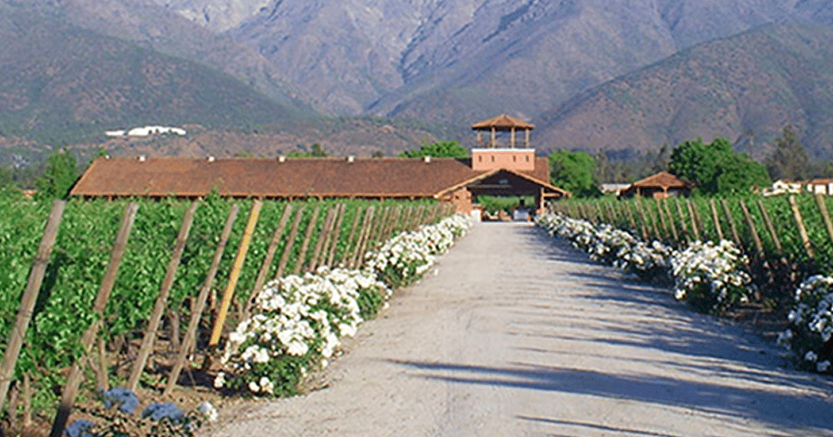 private wine tour santiago chile