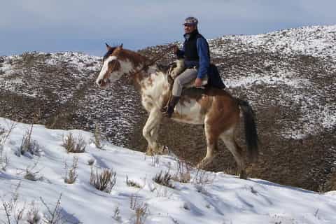 mendoza experiência de equitação de 3 dias nos andes