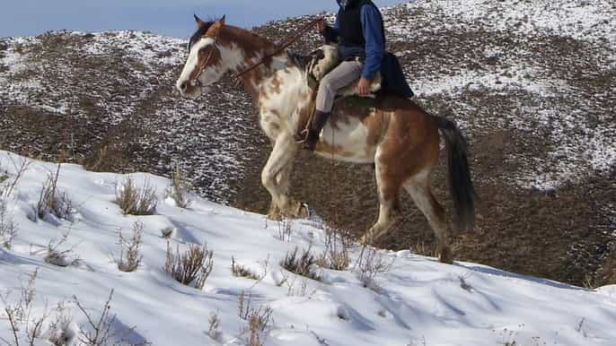 mendoza experiência de equitação de 3 dias nos andes