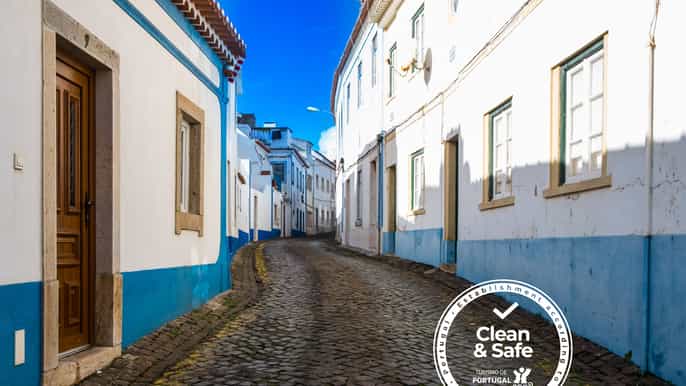 from lisbon mafra and ericeira private day trip