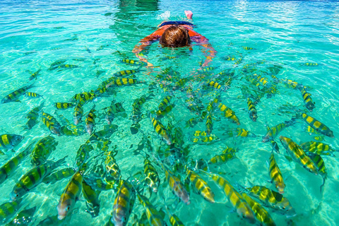From Krabi: Phi Phi, Maya Bay & Bamboo Island Speedboat Tour