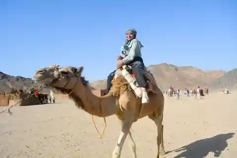 Morning Trip: Desert Safari Riding a Speed Quad Bike, Pickup