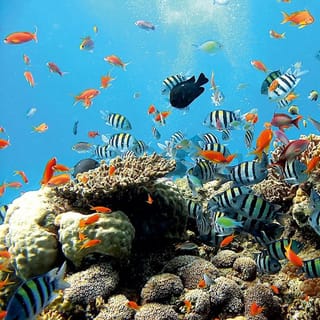 East Bali: snorkeling, canyoning e gita di un giorno alla cascata