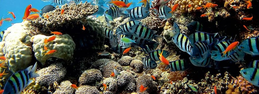 Est de Bali : Excursion d'une journée avec plongée en apnée, canyoning et chutes d'eau