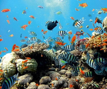 East Bali: Snorkeling, Canyoning, and Waterfall Day Trip