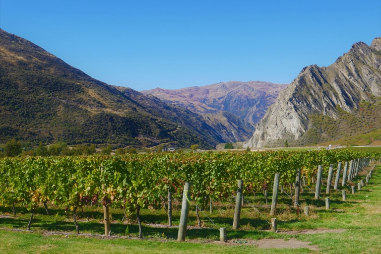 Queenstown: Wine Tour with Zip Line, Golf & Boat Options Classic Wine Tour from Queenstown