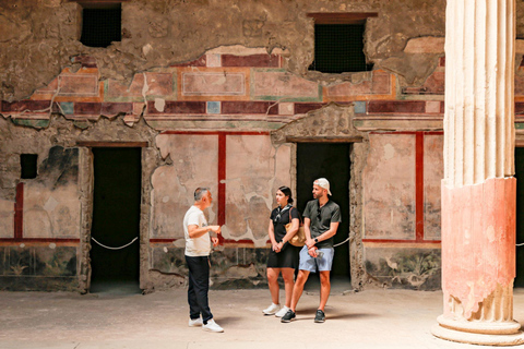 Pompeii: Private Guided Tour with Pick-up Private Tour in French from Positano