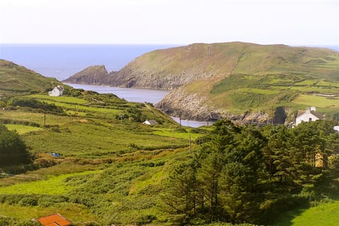 Cork: tour dell'isola di Cape Clear
