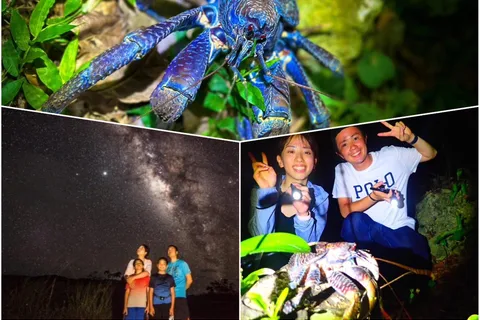 Miyako Island: Stars & Jungle Night Walking Tour