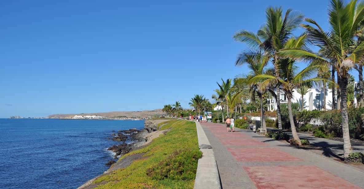 Maspalomas: 3-Hour Electric Scooter Chopper and Camel Tour