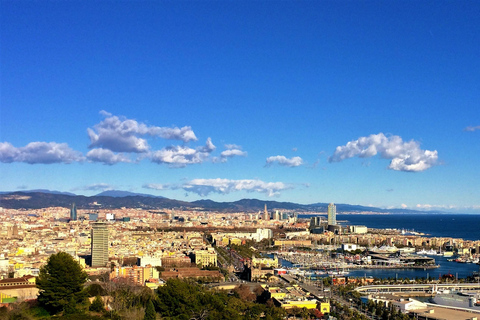 Visite privée de Barcelone avec la Sagrada Familia