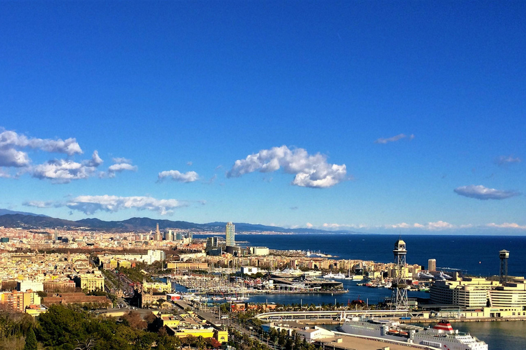 Visite privée de Barcelone avec la Sagrada Familia