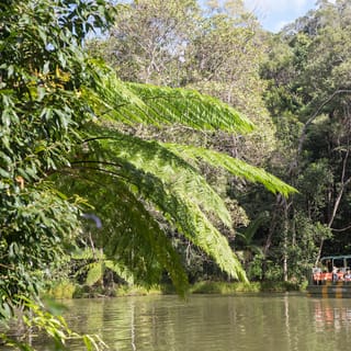 Cairns: 4 Attraction 7-Day Pass