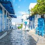 Tour di Medina, Bardo, Cartagine e Sidi Bousaid con pranzo