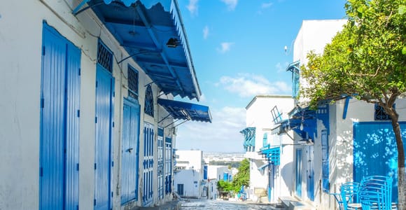 Medina, Bardo, Carthage & Sidi Bousaid tour with lunch
