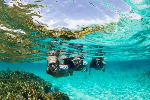 Visit Mooloolaba Snorkel with Turtles Mudjimba Island in Beerwah, Australia