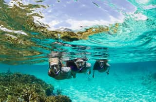 Mooloolaba: Schnorcheln mit Schildkröten Mudjimba Island