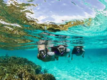 Mooloolaba: Snorkel with Turtles Mudjimba Island