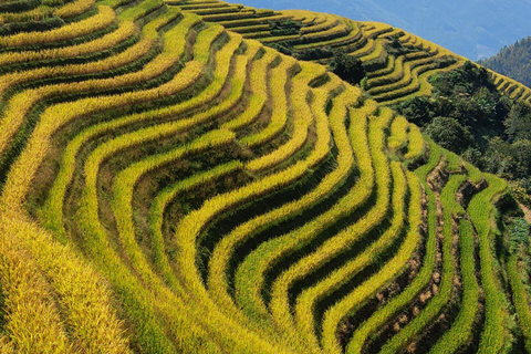 Tour particular personalizado: Tour privado de 2 dias pelos terraços de arroz de Longji