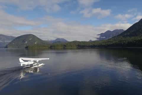 Te Anau: 1-Hour Milford Sound Scenic Seaplane Flight