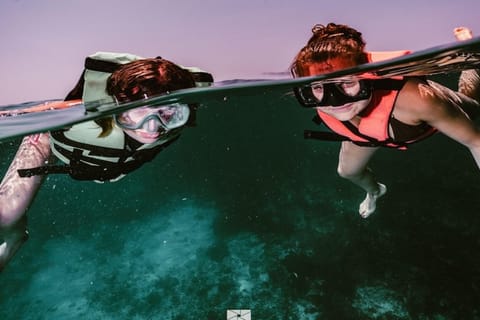 Isla Mujeres - MUSA and the Manchones Reef - Snorkel
