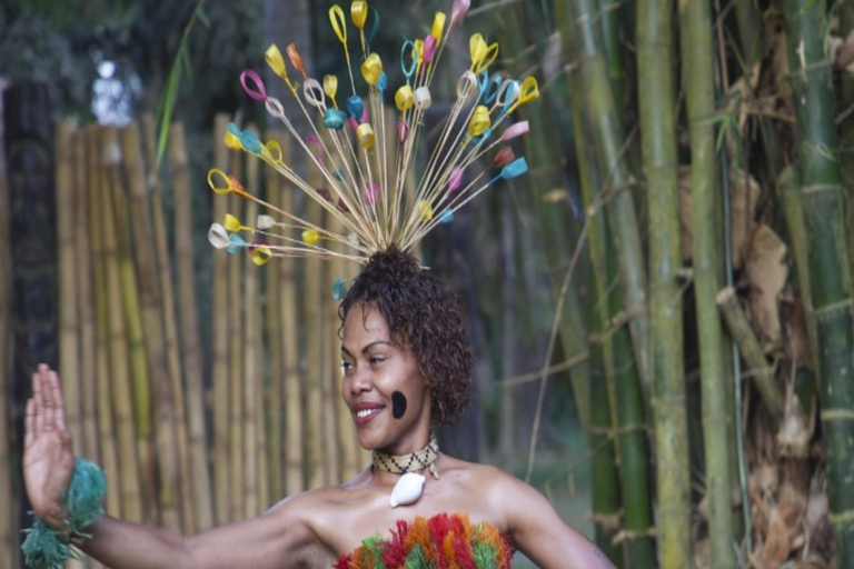 Fidżi: wieczorna wycieczka po wiosce z kolacją i show