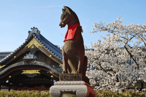 Kyoto & Nara: Guided Walking Tour with Deer Encounter