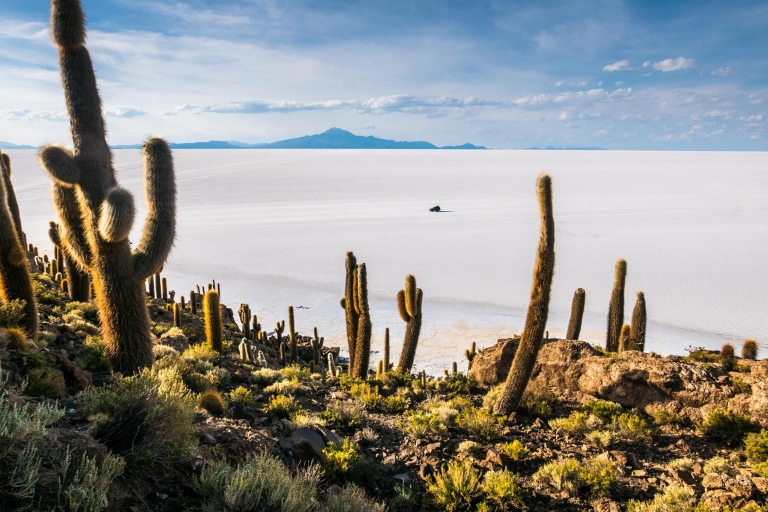 From Uyuni: Salt Flats 3-day Tour Tour with Driver and Bilingual Guide
