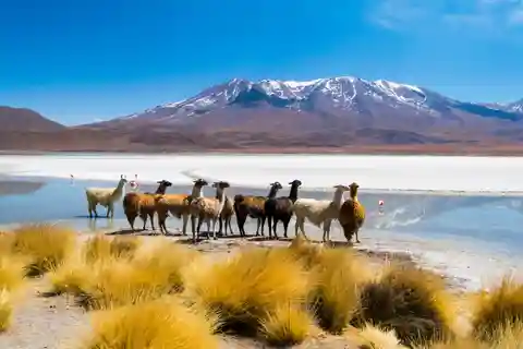 Uyuni: 3 dias de excursão, salinas e desertos surrealistas