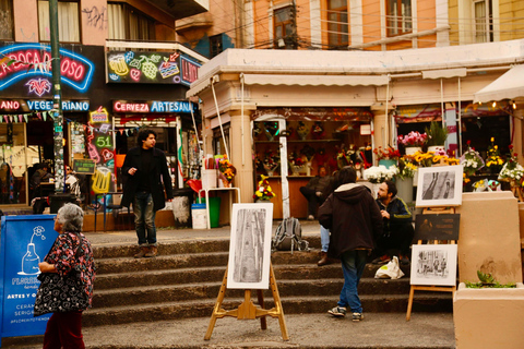 Santiago i Spanien: Valparaiso, Viña del Mar och Casablanca Valley Tour