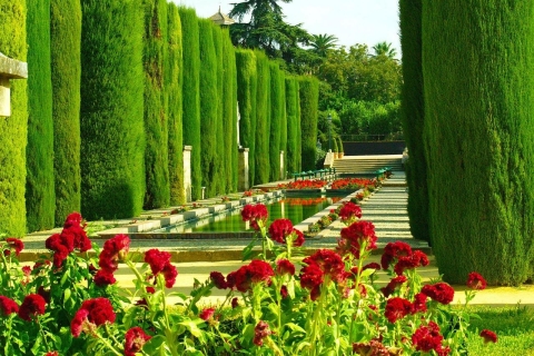 Alcázar de Córdoba: ticket y tour guiadoTicket de entrada y tour guiado compartido en inglés