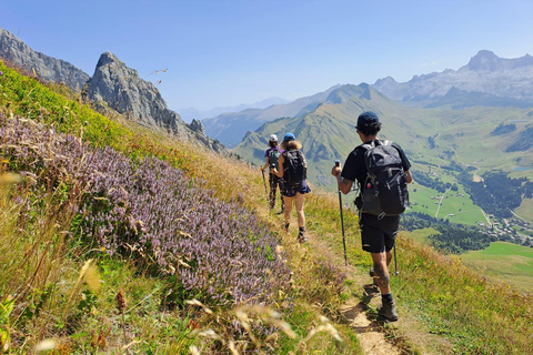 Mountain discovery hike: wildlife, flora and exceptional views Mountain Discovery Hike: Wildlife, Plants, and Exceptional Panoramas