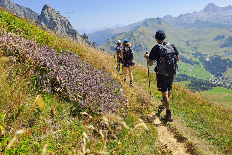 Mountain discovery hike: wildlife, flora and exceptional views Mountain Discovery Hike: Wildlife, Plants, and Exceptional Panoramas