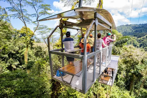 Puerto Limón: Crucero por la Selva de Veragua y el Canal de Tortuguero