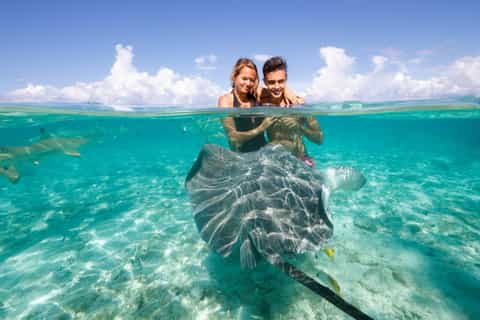 Bora Bora: Shark and Snorkeling Safari