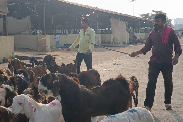 Bombay: Visita guiada al Matadero de Deonar