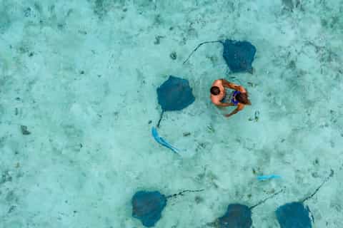 Bora Bora Luxury Tour and Beach Picnic