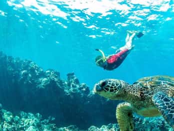 Maui: Schnorchelabenteuer und Bootsfahrt mit Barbecue Maui: Schnorchelabenteuer und Bootsfahrt mit Barbecue