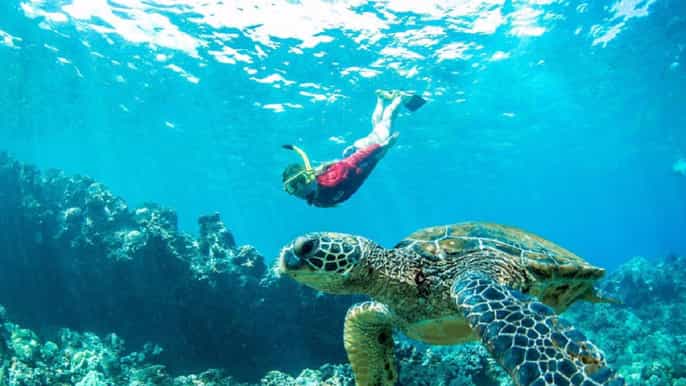 maui premier snorkel adventure barbecue cruise