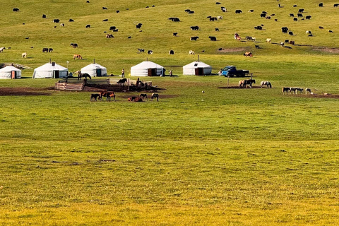 Nomad Family Home Stay in Arkhangai Province