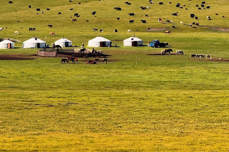 Nomad Family Home Stay in Arkhangai Province