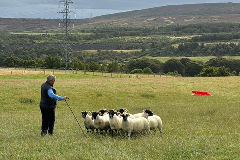 Inverness: Highland Heritage and Culture Tour