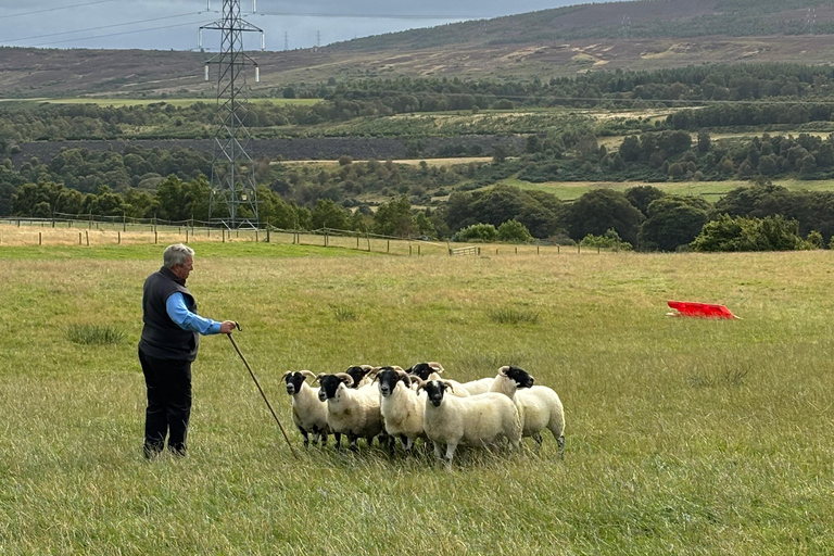 Inverness: Highland Heritage and Culture Tour